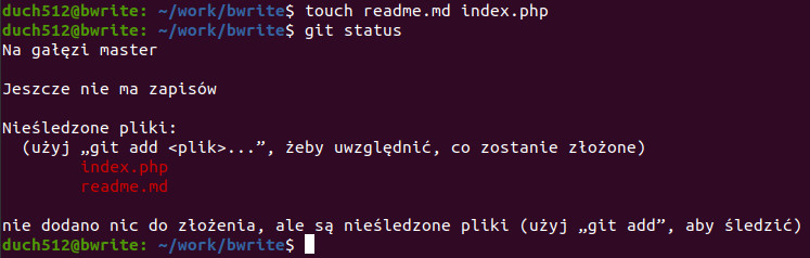 Komenda git status z nowymi plikami